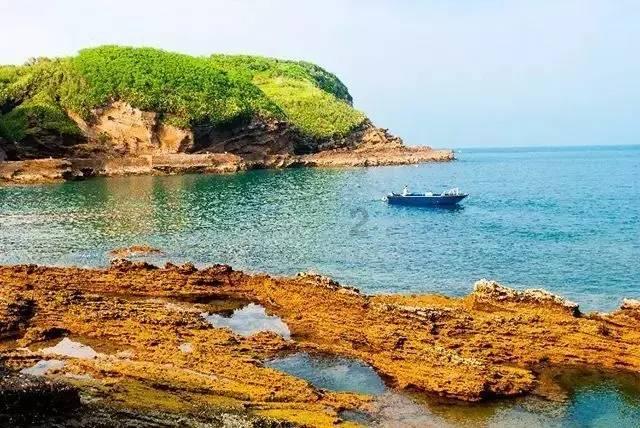 【美丽新兴,与爱同行】美化新兴“益”起来,环境保护我先行