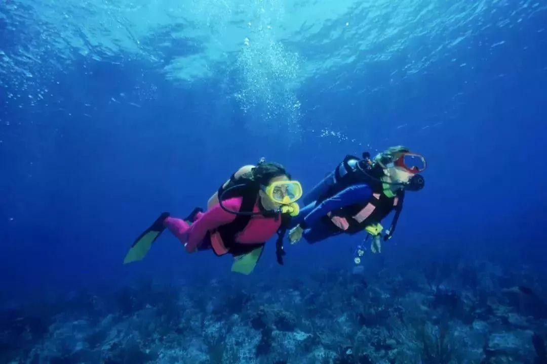 西游大冒险在哪下载