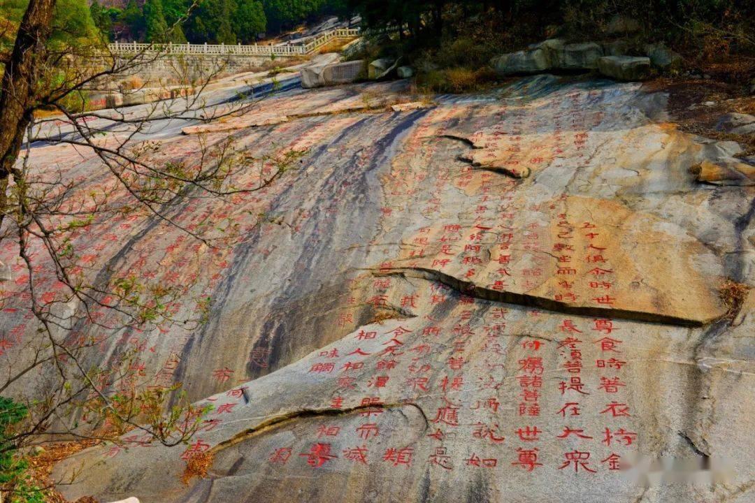 绿意盎然